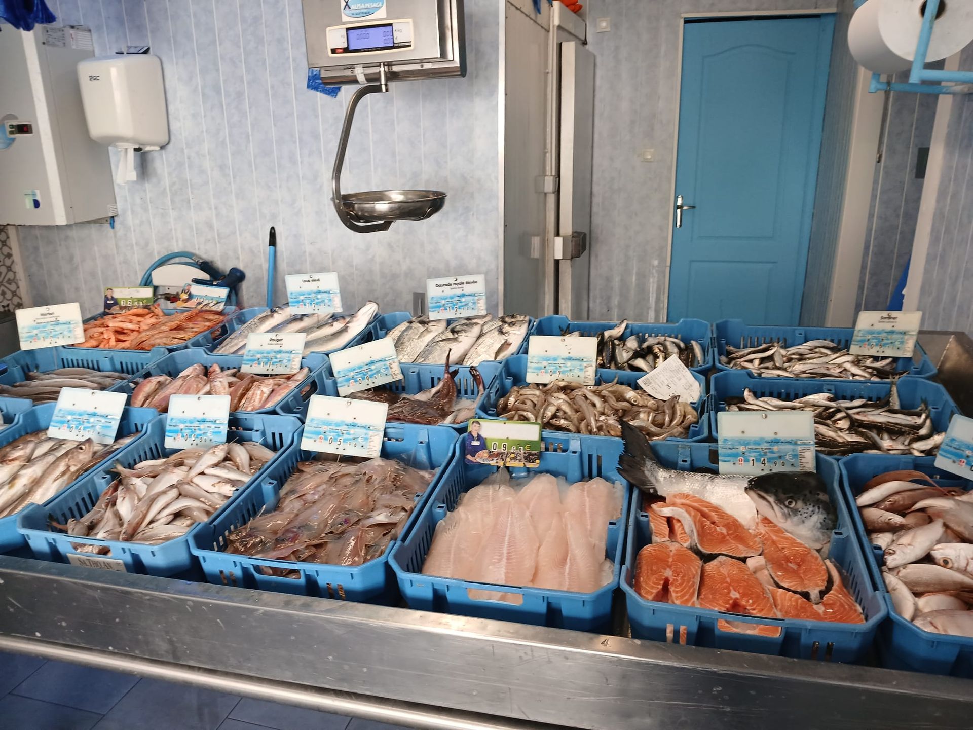 Poissonnerie La Gamba Royale