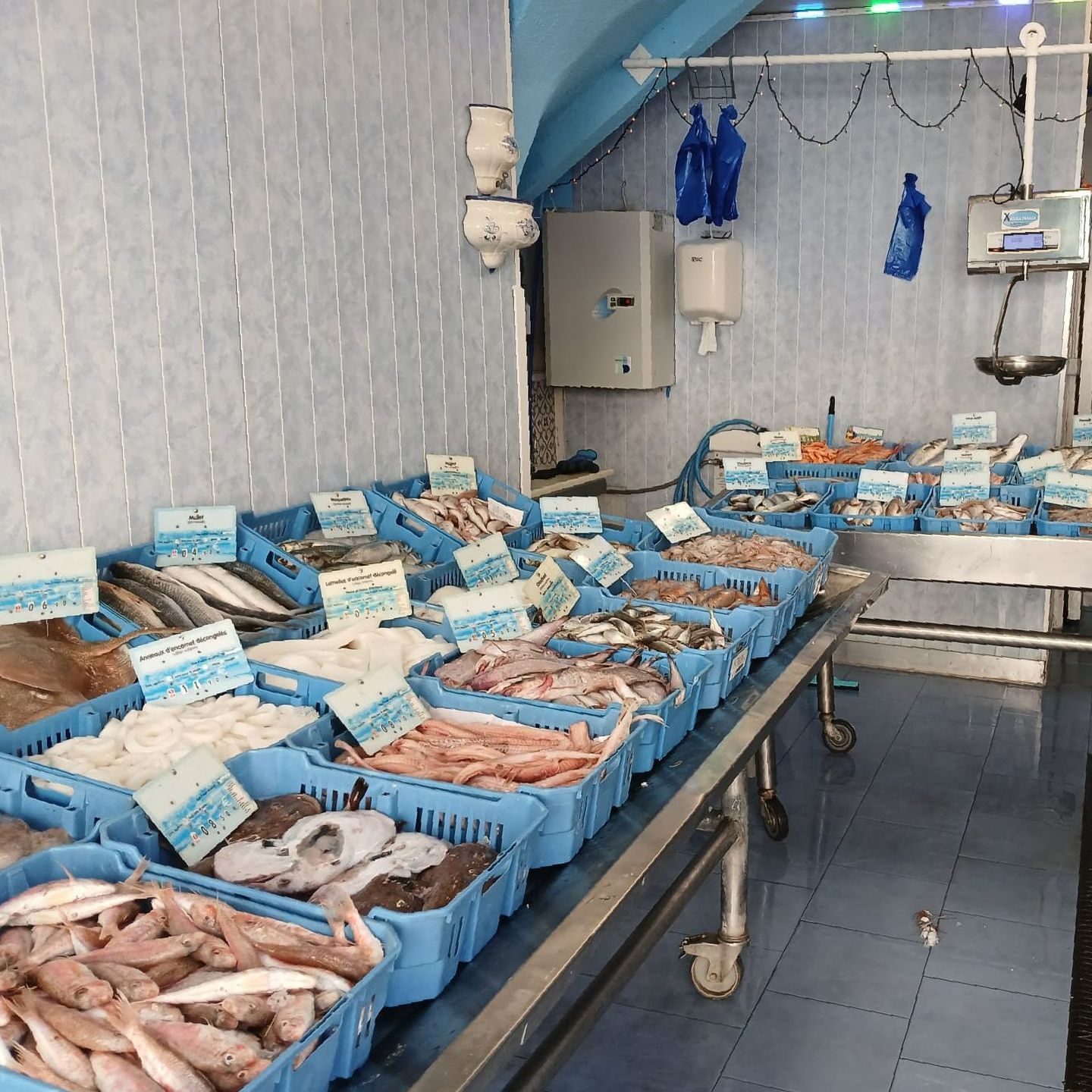 Arrivage de poisson à la poissonnerie