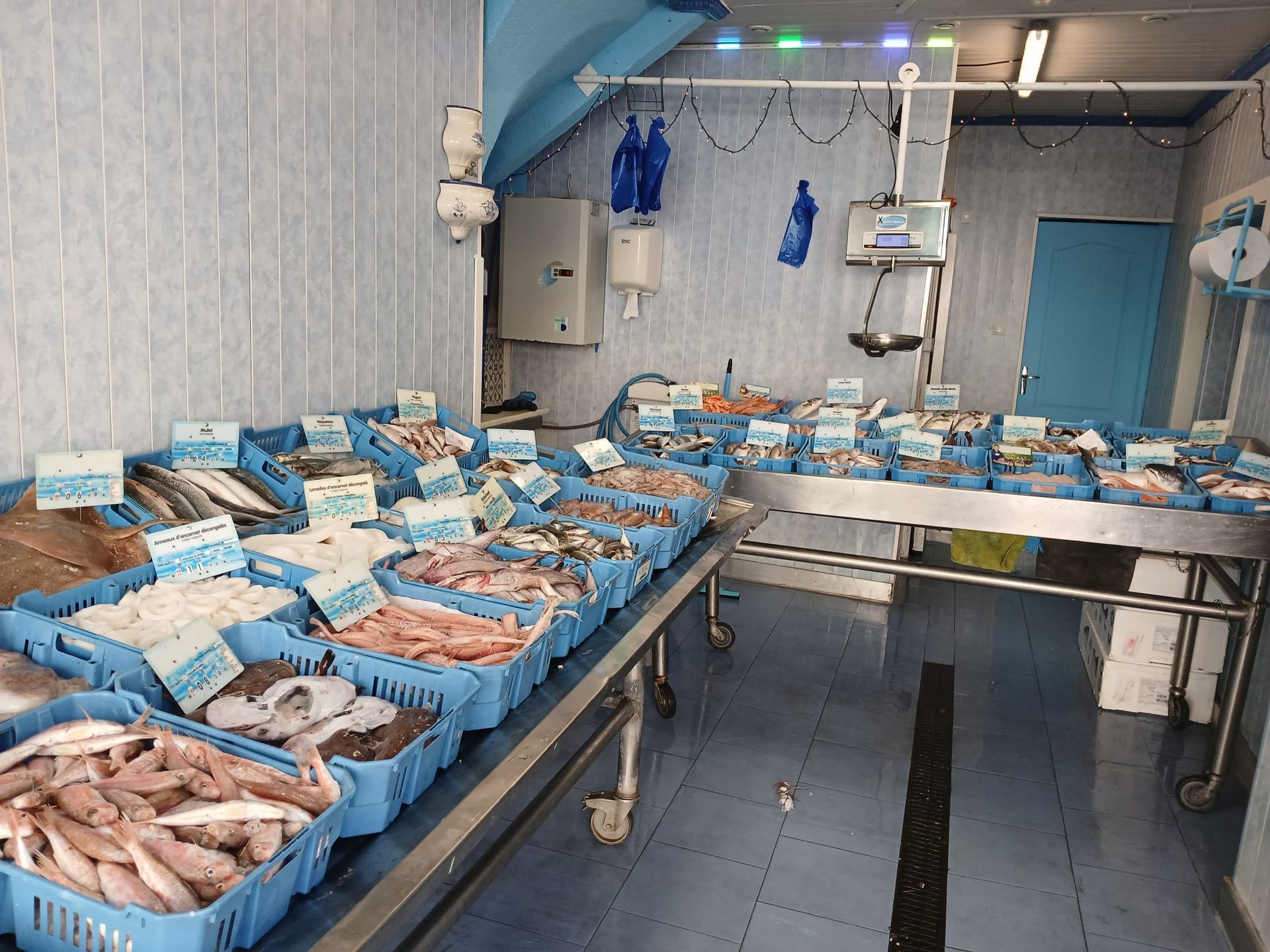 Poissons, crevettes et homards