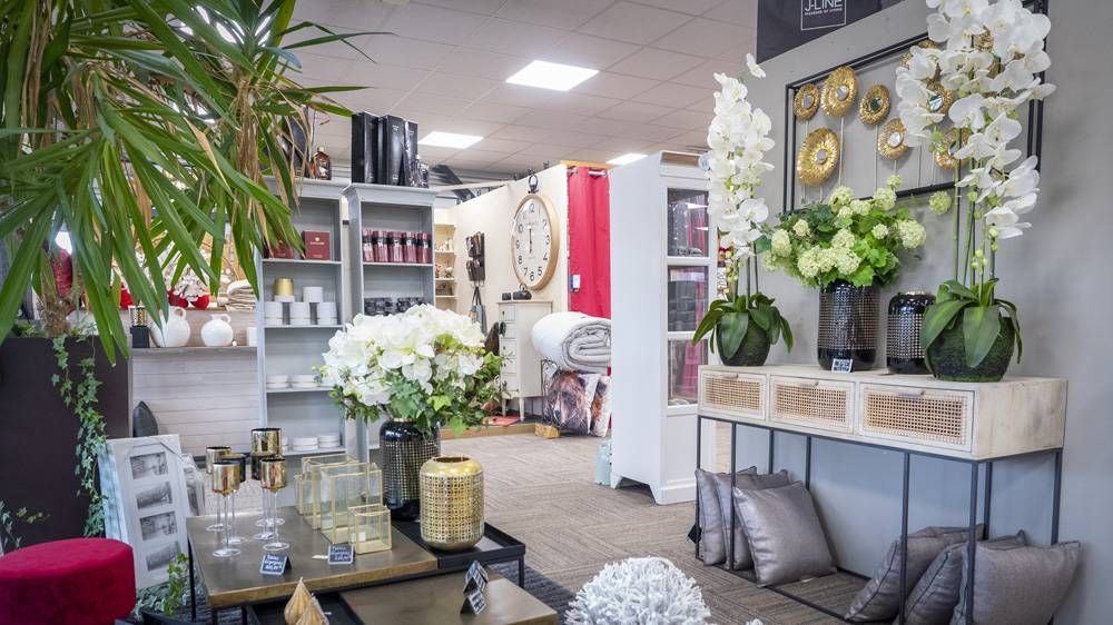 Intérieur lumineux d’un fleuriste avec des orchidées blanches, des plantes en pot et des objets décoratifs pour la maison exposés.