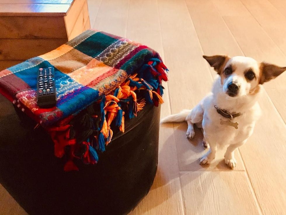 La Cesa Case Vacanza è Pet Friendly