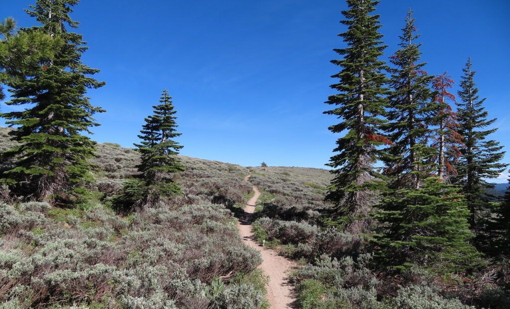 South Lake Hikes: Tahoe Rim Trail Lake Tahoe