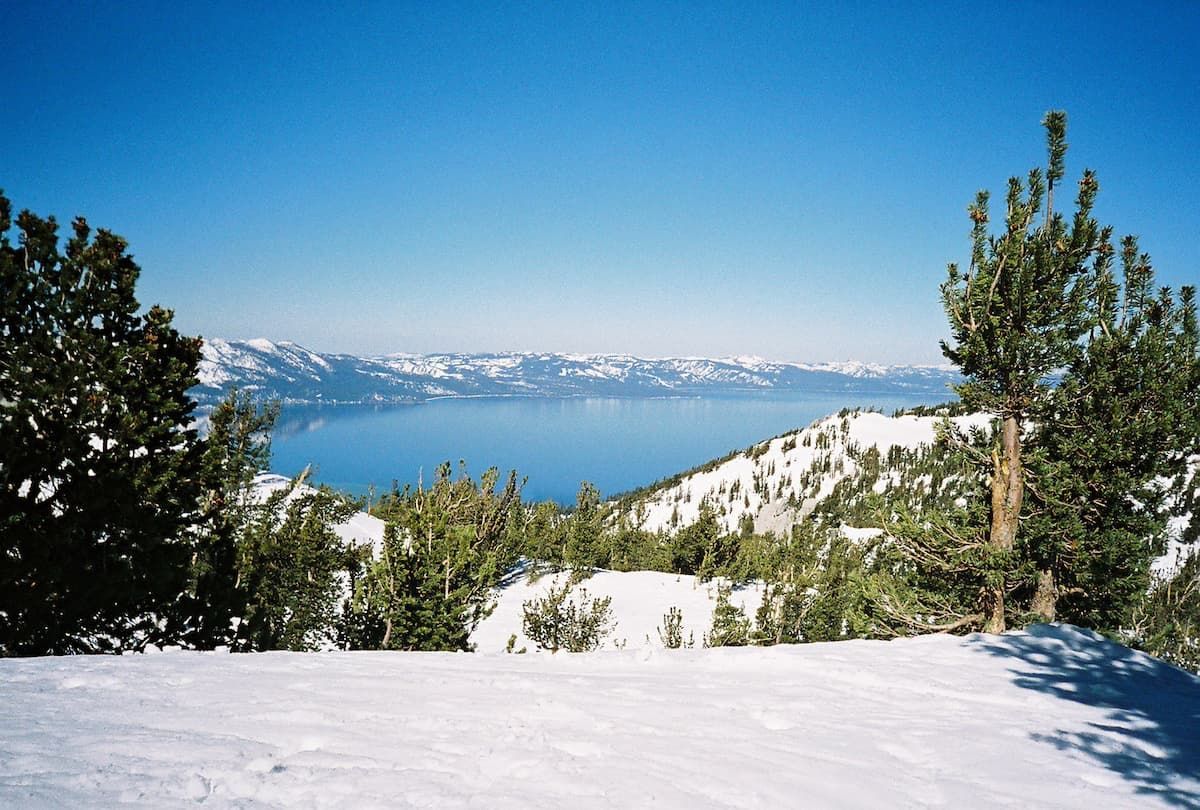 Fresh powdery snow surrounded by snow covered trees in Lake Tahoe