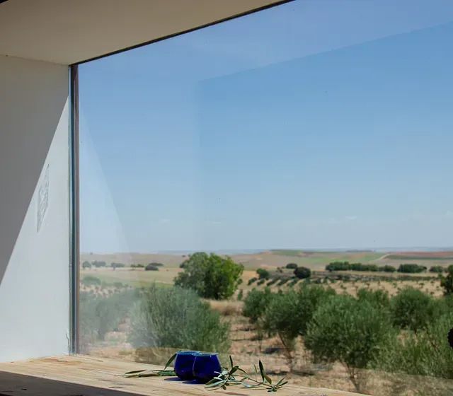 Una gran ventana con vista a un campo y árboles.