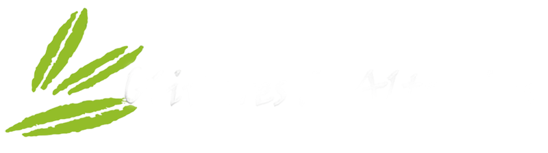 Logotipo con hojas verdes a la izquierda y texto blanco a la derecha.