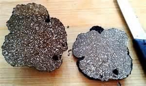 Schweizer Burgundertrüffel