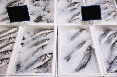 ganze Fische auf Eis