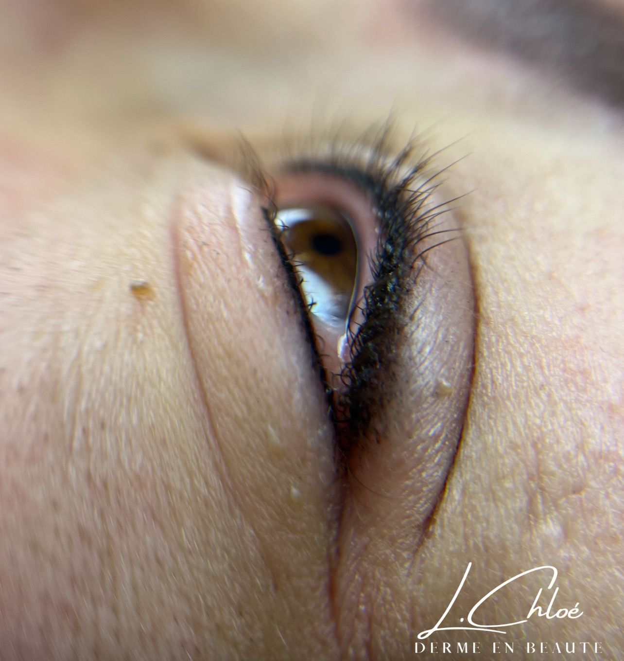 Maquillage permanent effectué par Derme en Beauté au Mans