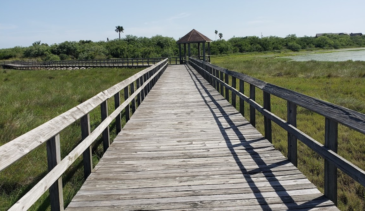 A wooden walkway leading to a gazebo in the distance at South Texas Botanical Gardens