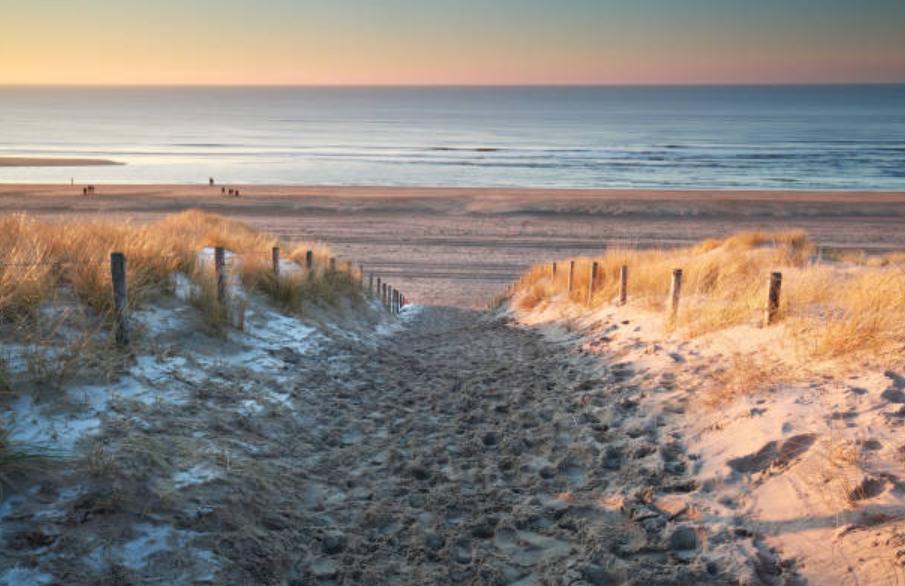 Winter in Port Aransas