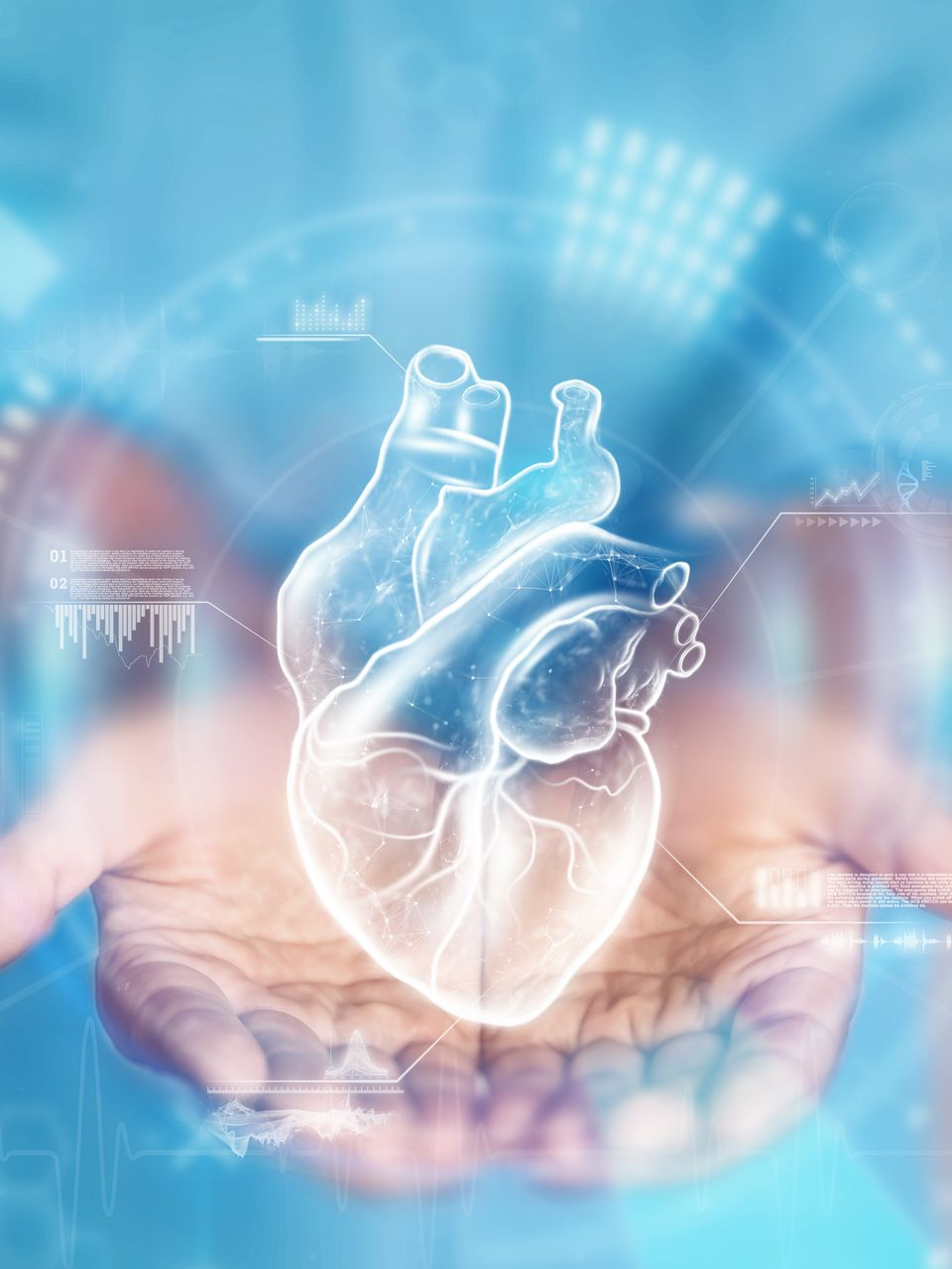 Hologramme d'un cœur anatomique