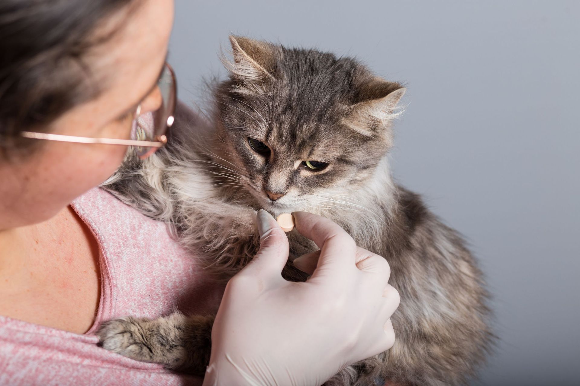 Una mujer sostiene un gatito en sus brazos y lo alimenta.