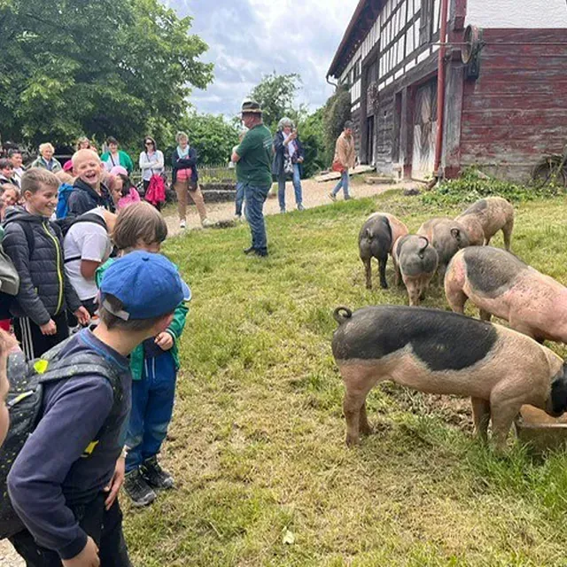 Kinder beobachten Schweine, die in der Nähe einer Scheune grasen. Ein Mann steht daneben.