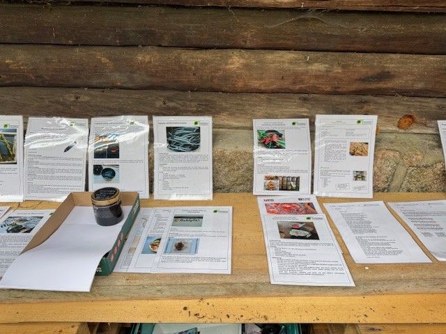 Informationstafel mit bedruckten Blättern und einem Einmachglas auf einer Holzfläche vor einer Blockwand.