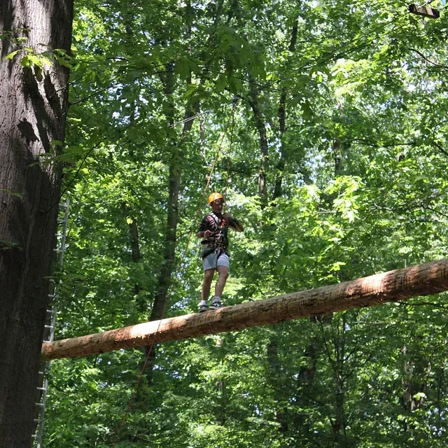 Eine Person balanciert auf einem im Wald aufgehängten Baumstamm. Sie trägt einen Gurt und einen Helm und hält das Gleichgewicht.