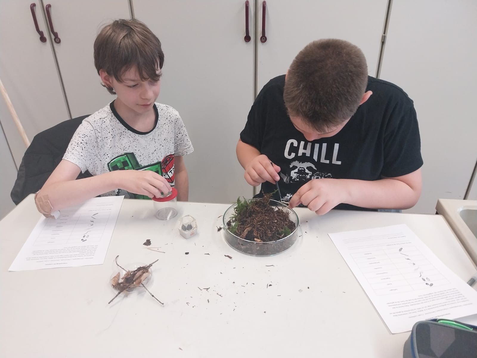 Zwei Jungen bauen an einem Tisch ein Terrarium mit Insekten, Zubehör und Papier.