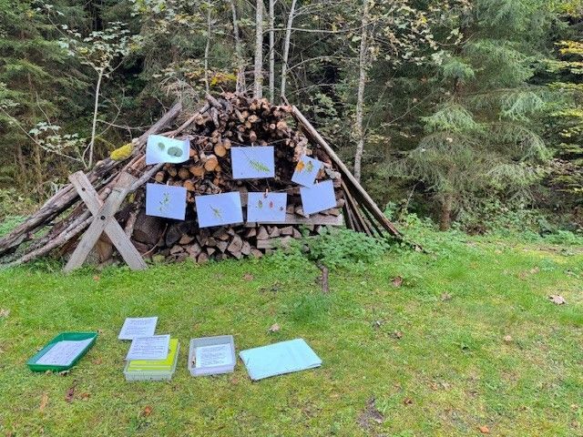 Holzstapel mit ausgestellten Kunstwerken; Gras im Vordergrund, Bäume im Hintergrund.