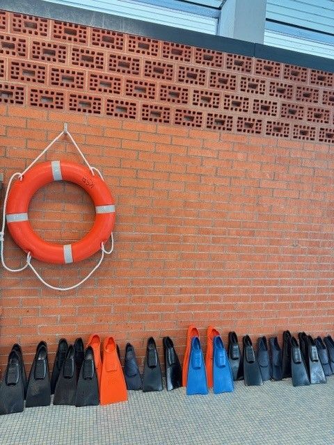Ein orangefarbener Rettungsring und verschiedenfarbige Schwimmflossen an einer Backsteinmauer in einem Schwimmbecken.