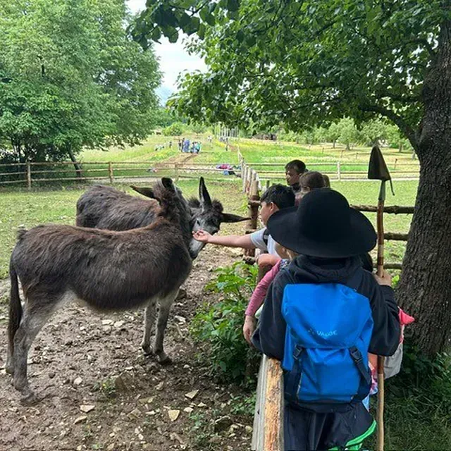 Kinder streicheln Esel auf einem Bauernhof; im Hintergrund sind Bäume und eine grasbewachsene Wiese zu sehen, in der Nähe eines Zauns.