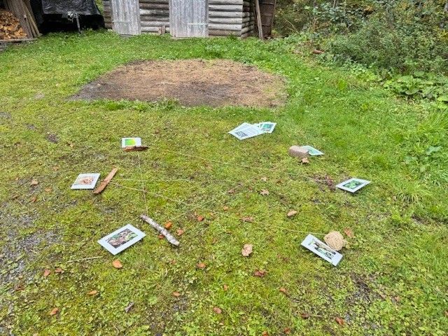 Auf einer Rasenfläche im Kreis angeordnete Gegenstände: Bücher, Stöcke, ein Stein, in der Nähe eines Schuppens.