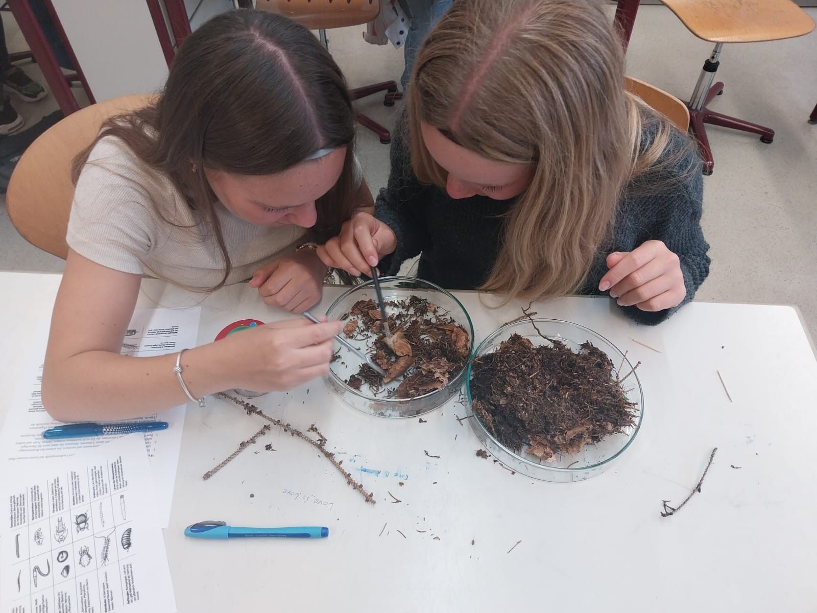 Zwei Mädchen untersuchen Bodenproben in Glasschalen an einem Tisch mit Diagrammen und Zweigen.