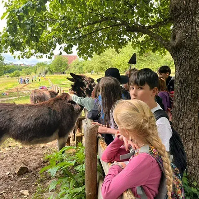 Kinder streicheln Esel auf einem Bauernhof im Schatten von Bäumen. Im Hintergrund sind weitere Kinder zu sehen.