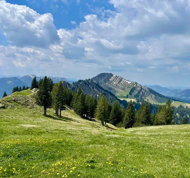 Grasbewachsene Berglandschaft mit Kiefern und einem teilweise bewölkten blauen Himmel.