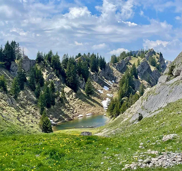 Grünes Tal mit See, Schneefeldern und Bäumen unter bewölktem Himmel.