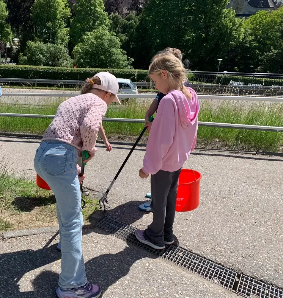 Two people watering plants in buckets on a sunny sidewalk near a road and greenery