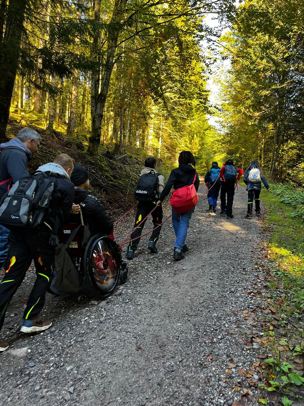Eine Gruppe wandert mit einer Person im Rollstuhl auf einem Schotterweg durch einen Wald. Die Wanderer helfen dem Rollstuhl über den unebenen Untergrund.
