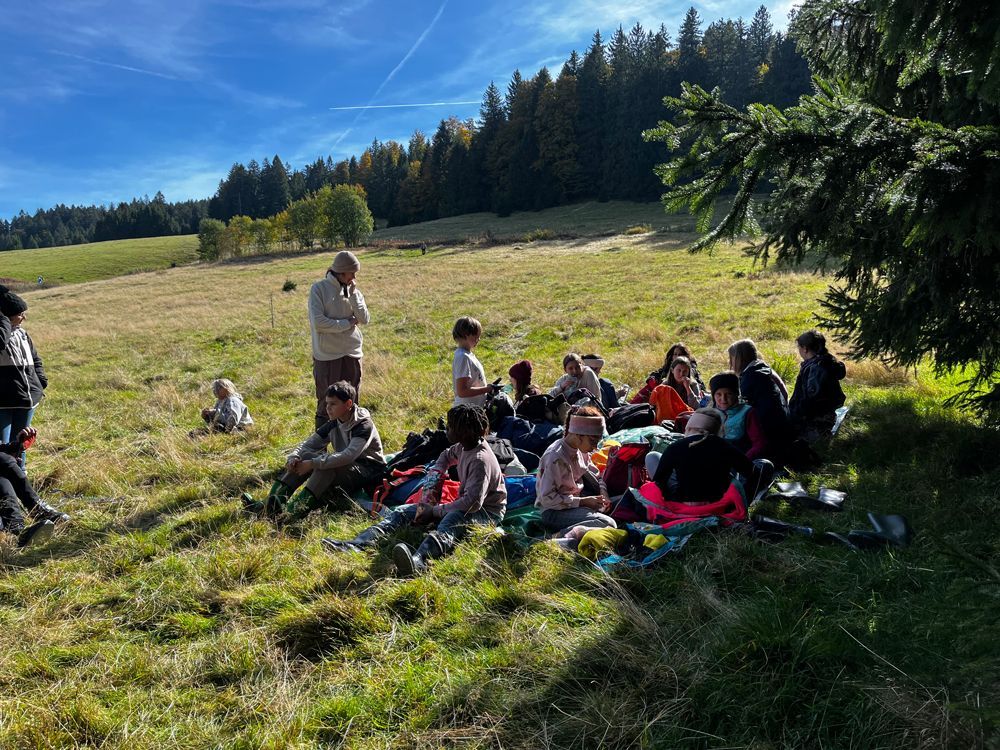 Eine Gruppe von Menschen sitzt auf einer Wiese mit Bäumen. Die Leute sitzen, möglicherweise machen sie ein Picknick.