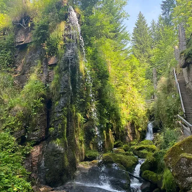 Ein Wasserfall stürzt über eine moosbewachsene Felswand in einem Wald, eine Treppe ist sichtbar.