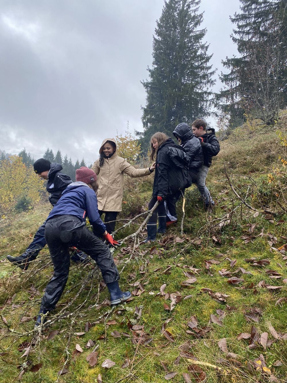 Eine Gruppe von Menschen arbeitet an einem bewachsenen Hang. Einige halten Äste fest, andere helfen beim Abstieg. Bewölkter Himmel.