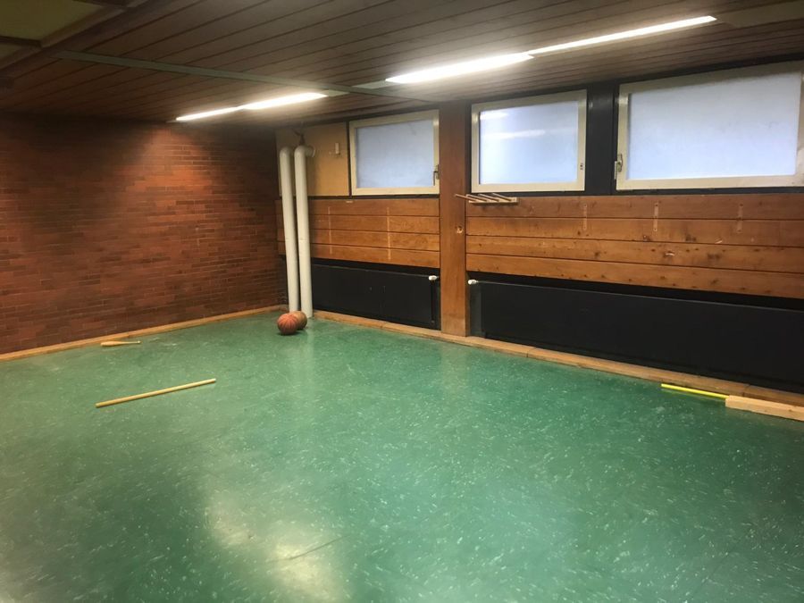 Indoor-Sportbereich mit grünem Boden, roter Backsteinwand, Ball und Holzvertäfelung.