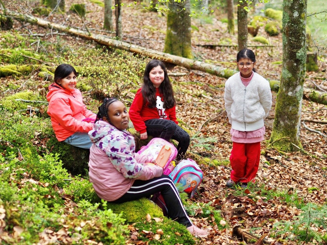 Vier Menschen sitzen auf Baumstämmen an einem bewaldeten Hang und lächeln zwischen herabgefallenen Blättern.