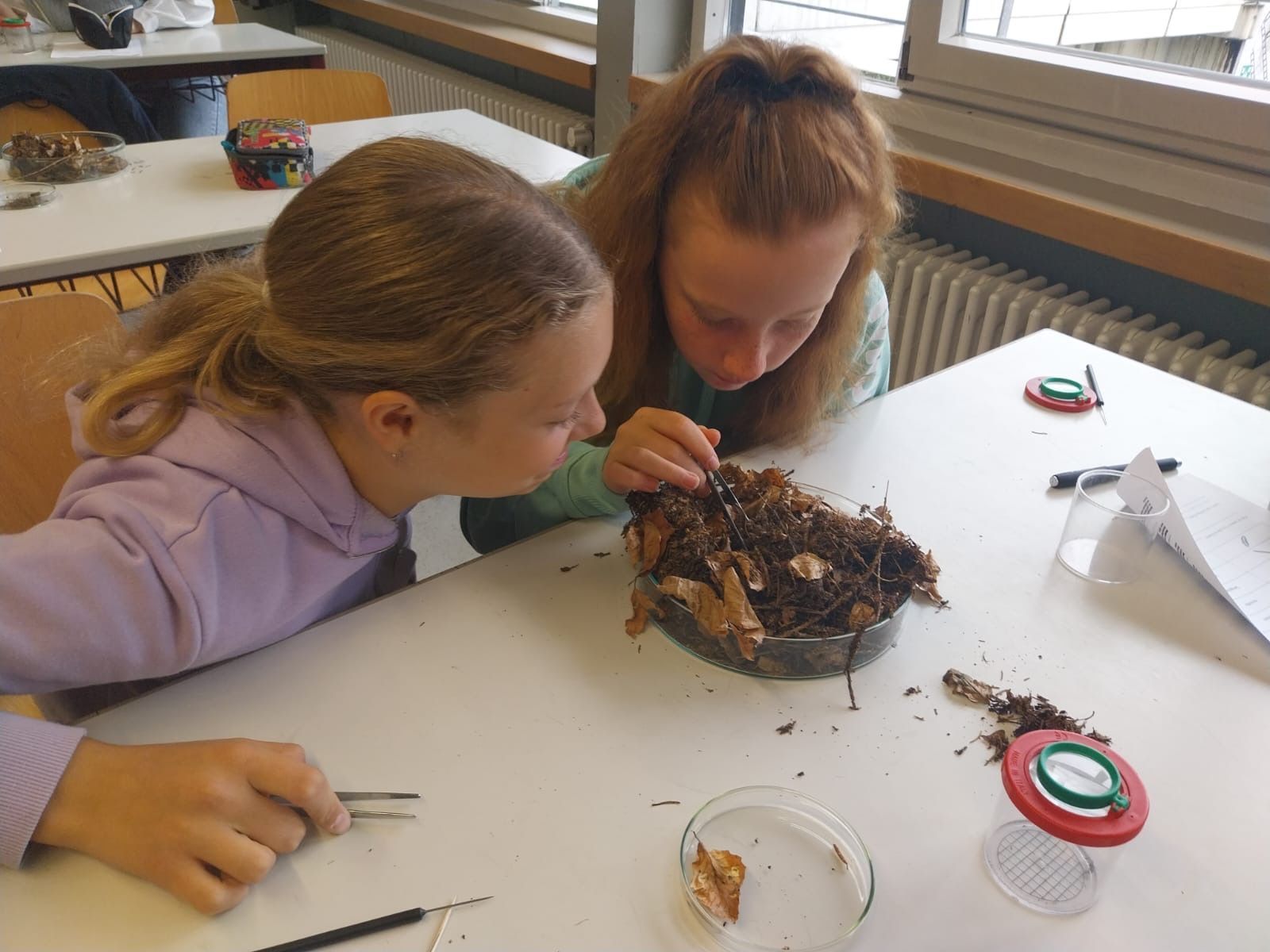 Zwei Mädchen untersuchen eine Ansammlung von Blättern und Unrat auf einem Tisch, eines davon benutzt eine Pinzette.