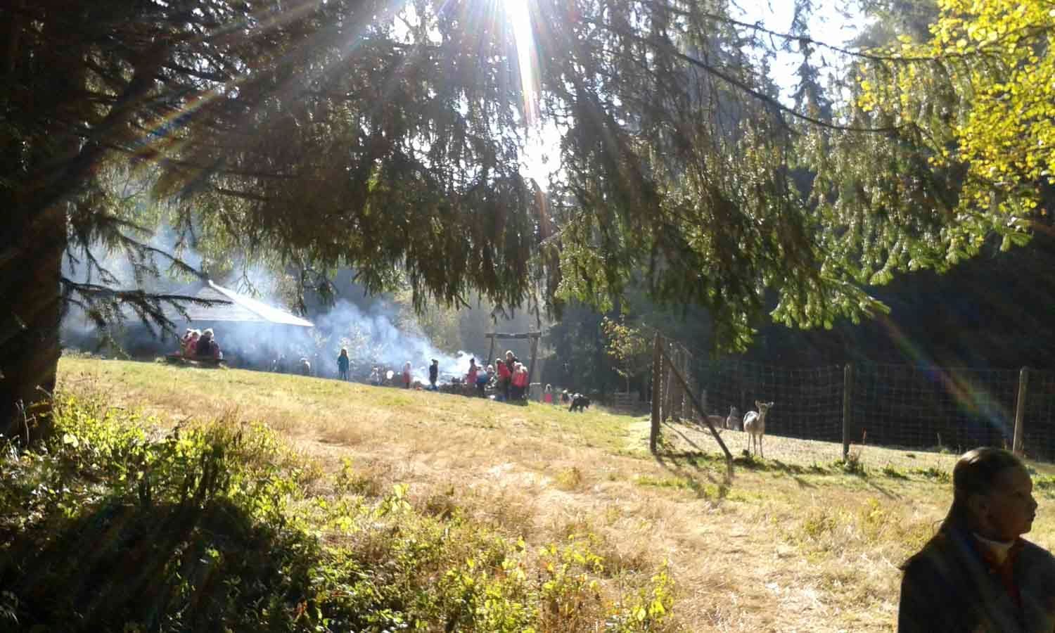Sonnenbeschienenes Feld mit Rauch und Menschen; mögliches Feuer oder kontrolliertes Abbrennen.