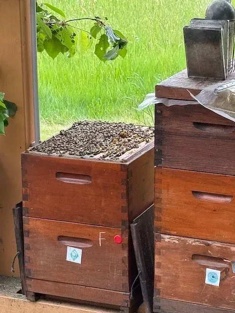 In der Nähe eines Fensters, durch das man grünes Gras sehen kann, stehen gestapelte hölzerne Bienenstöcke, die mit Steinen bedeckt sind.