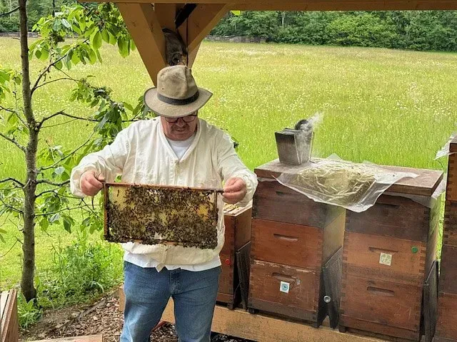 Ein Imker hält eine Honigwabe in der Hand und steht in der Nähe von Bienenstöcken unter einem Holzunterstand auf einem Feld.