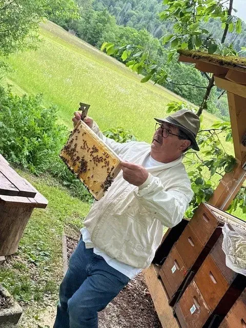 Ein Imker in weißem Anzug und Hut untersucht im Freien, in der Nähe von Bienenstöcken und einem grasbewachsenen Hang, eine Honigwabe.