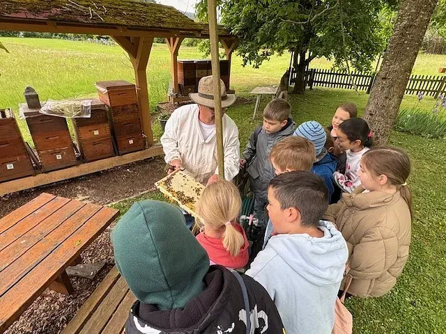 Ein Imker zeigt einer Gruppe Kinder in der Nähe von Bienenstöcken im Freien eine Honigwabe.
