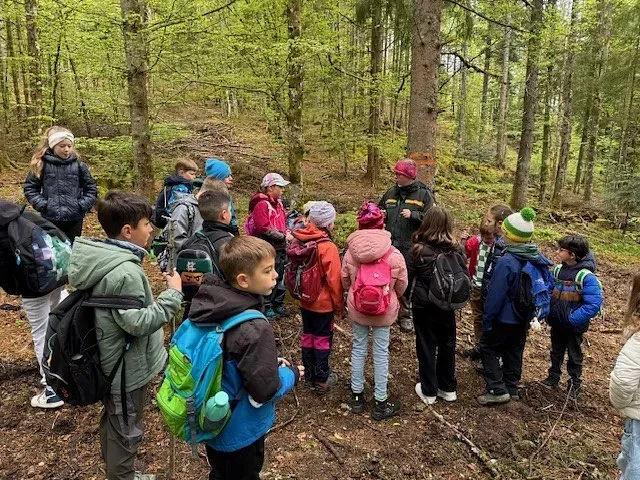 Kinder hören einem Erwachsenen in einem Wald zu, umgeben von Bäumen und Laub. Viele tragen Rucksäcke.