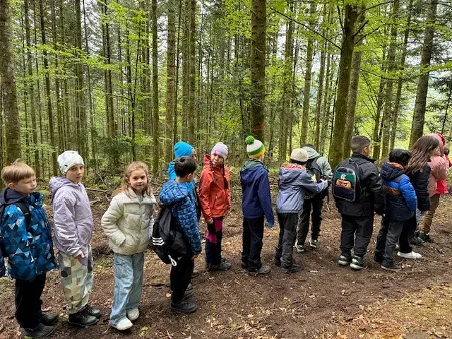 Kinder standen in einem Wald in einer Reihe, trugen Jacken und schauten sich um. Im Hintergrund waren grüne Bäume zu sehen.