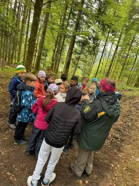 Eine Gruppe Kinder und ein Führer im Wald betrachten etwas. Im Hintergrund sind Bäume zu sehen.