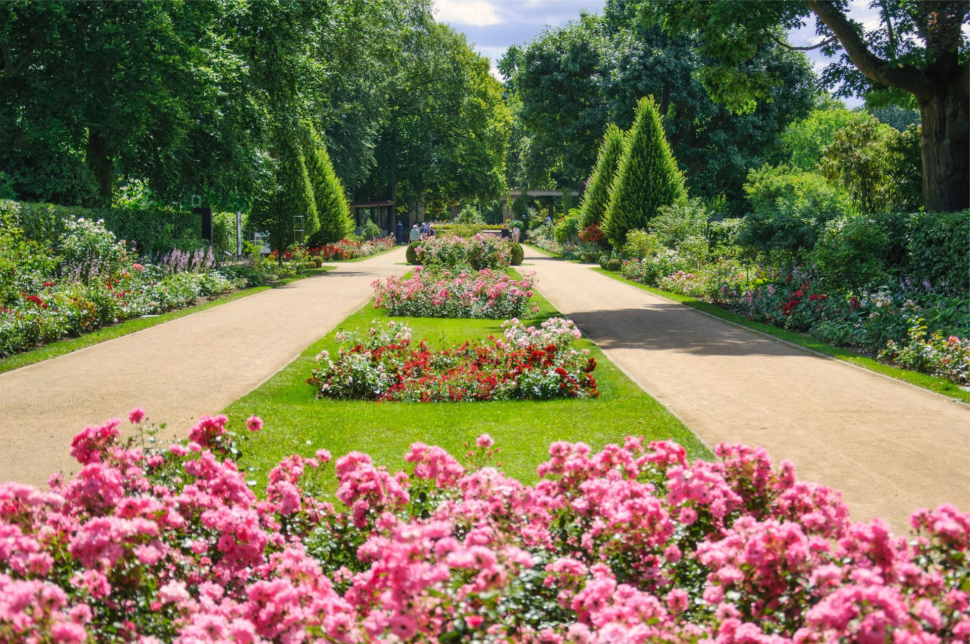 ein Garten voller rosa Blumen und Bäume
