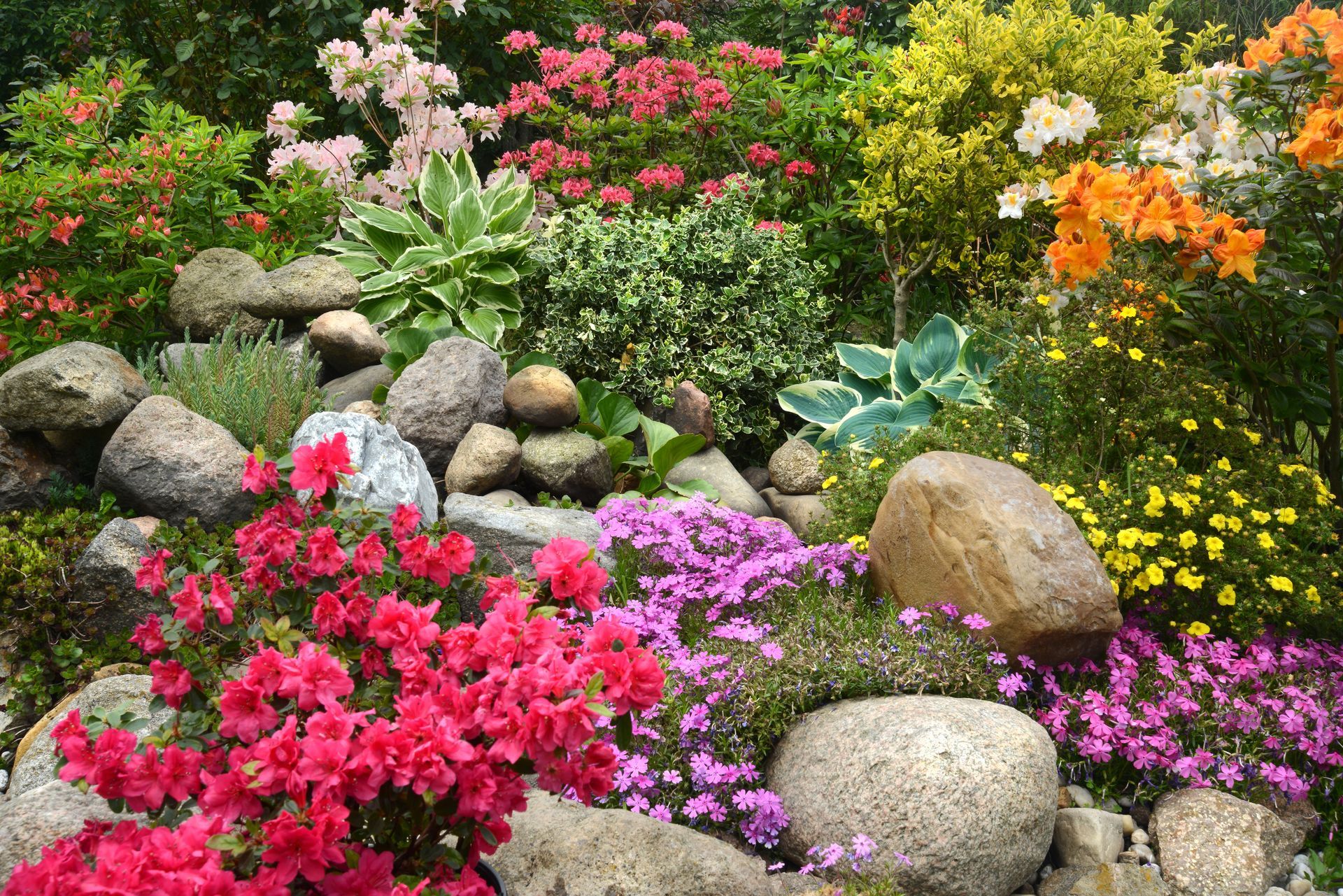 ein Garten voller Blumen und Steine