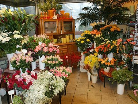 ein Raum voller Blumen und Pflanzen