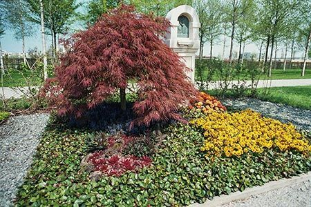 ein Garten mit Blumen und einem Baum mit roten Blättern