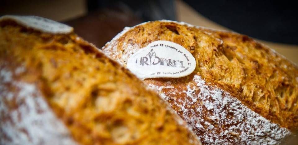 Weder Spezialitätenbäckerei AG
