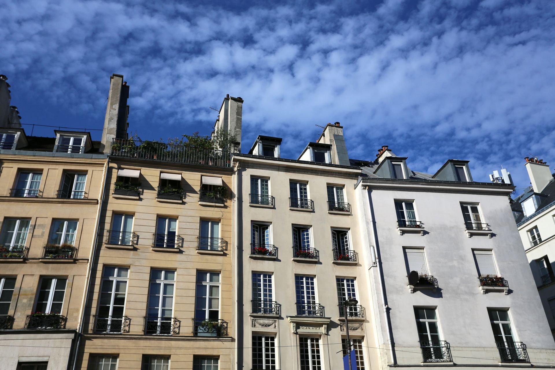Immobilier dans le Haut Marais